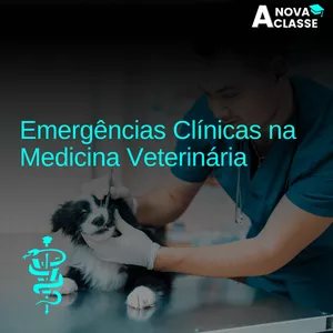 Imagem de capa para o Curso online Curso Emergências Clínicas Veterinária