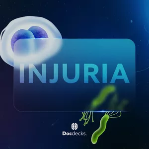 Imagen de portada para Ebook Área de Injuria