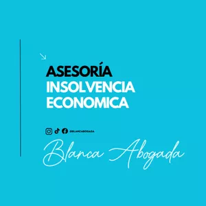 Imagen de portada para Curso online Asesoría para Insolvencia Económica 