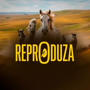 Imagem do curso Reproduza
