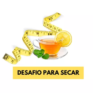Desafio Para Secar em 30 Dias por Erika Barros