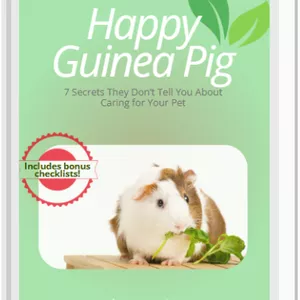 Cover image for Ebook Happy Guinea Pig - 7 Secrets They Don’t Tell You About Caring for Your Pet