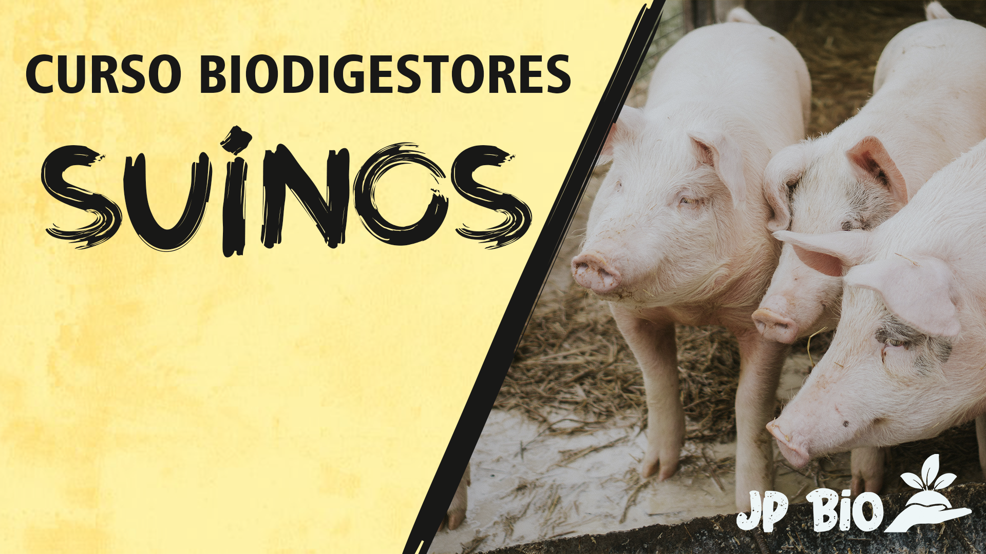 Imagem de Curso Biodigestores de Suínos criado por JP BIO na hotmart