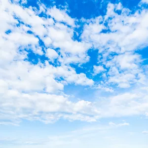 Imagem de capa para o Ebook A vida 