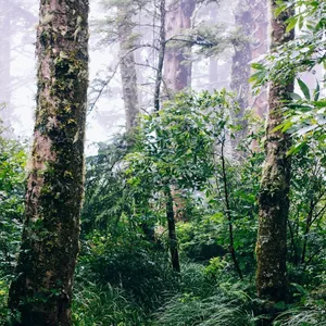 Imagem de capa para o Ebook Vida Em Abundância 