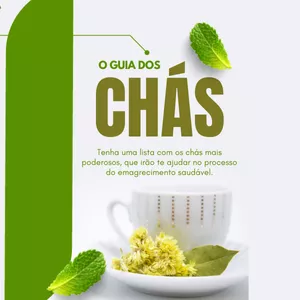 Imagem de capa para o Ebook o guia dos chás 