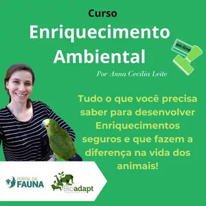 Imagem de capa para o Curso online Enriquecimento Ambiental