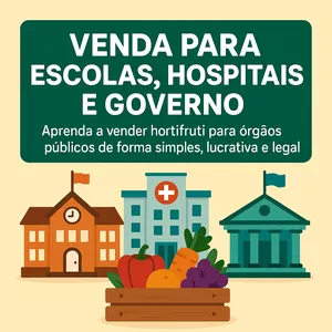 Imagem do curso Venda para Escolas, Hospitais e Governo