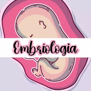 Imagen de portada para Ebook apuntes embriología 