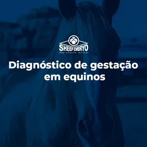Imagem de capa para o Curso online DIAGNÓSTICO DE GESTAÇÃO POR PALPAÇÃO E ULTRASSONOGRAFIA EM EQUINOS