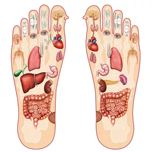 Curso Curso completo de Reflexologia Podal