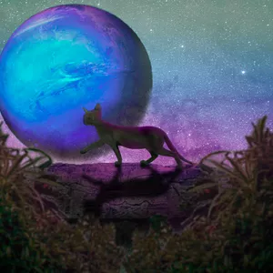 Imagen de portada para Curso online Ediciones de Video e imagenes 