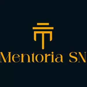 Imagem de capa para o Curso online Mentoria SN