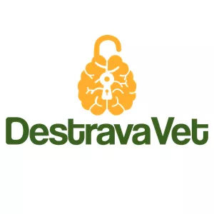 Imagem de capa para o Curso online RENOVAÇÃO - DESTRAVA VET
