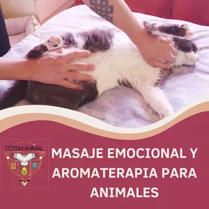 Imagen de portada para Curso online Curso online de Masaje emocional y Aromaterapia en Animales