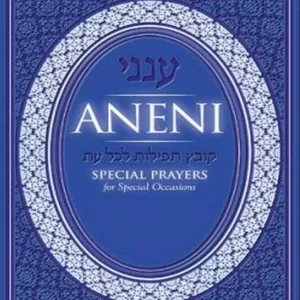 Imagem de capa para o Ebook ANENI