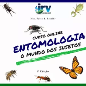 Imagem de capa para o Curso online Entomologia - O fascinante mundo dos insetos