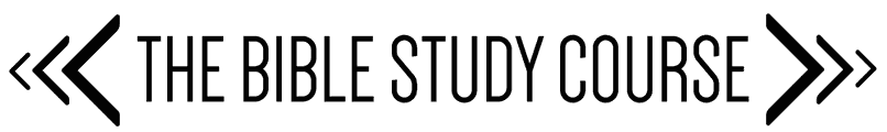 The Study Center logo