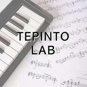 Imagen de portada para Curso online TePinto Lab
