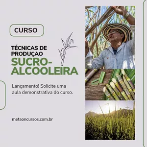 Imagem de capa para o Curso online Açúcar e Álcool  