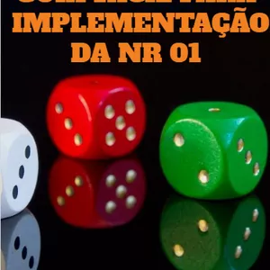 Imagem de capa para o Ebook Guia Fácil de Implementação do PGR da NR 01