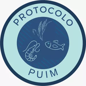 Imagem de capa para o Curso online PROTOCOLO DO PUIM 2.0