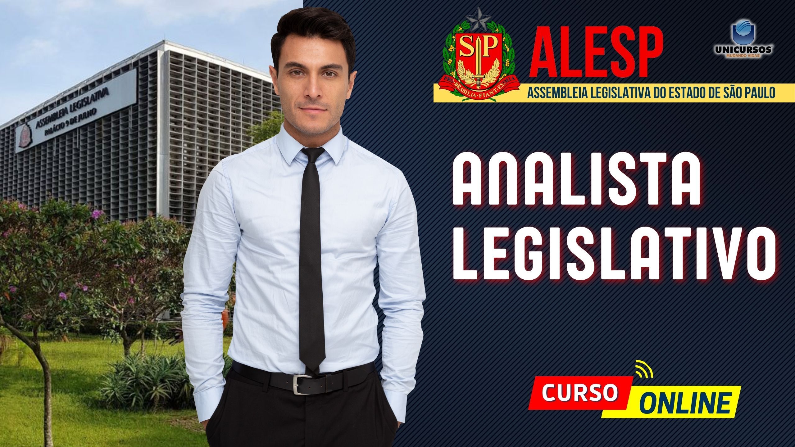 Imagem de Curso Online Analista Legislativo criado por Aprovei Concursos na hotmart