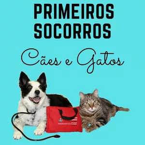 Imagem de capa para o Curso online Curso de Primeiros Socorros de Cães e Gatos