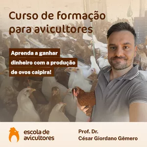 Imagem de capa para o Curso online Curso de formação para avicultores