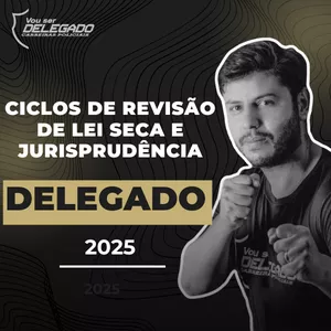 Imagem de capa para o Curso online Ciclos de Revisão de Lei Seca e Jurisprudência