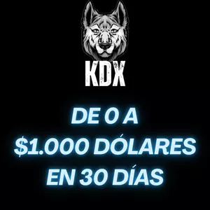 Imagen de portada para Curso online De 0 a $1.000 en 30 días 