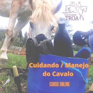 Capa do curso 