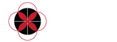IDEA Analytics 