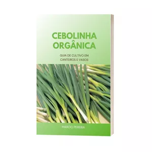 Imagem de capa para o Ebook Cebolinha Orgânica
