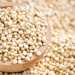 Imagem principal do produto Curso de Cultivo e Comércio de Quinoa