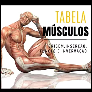 Imagem de capa para o Ebook Tabela de Músculos com Ação, Origem e Inserção