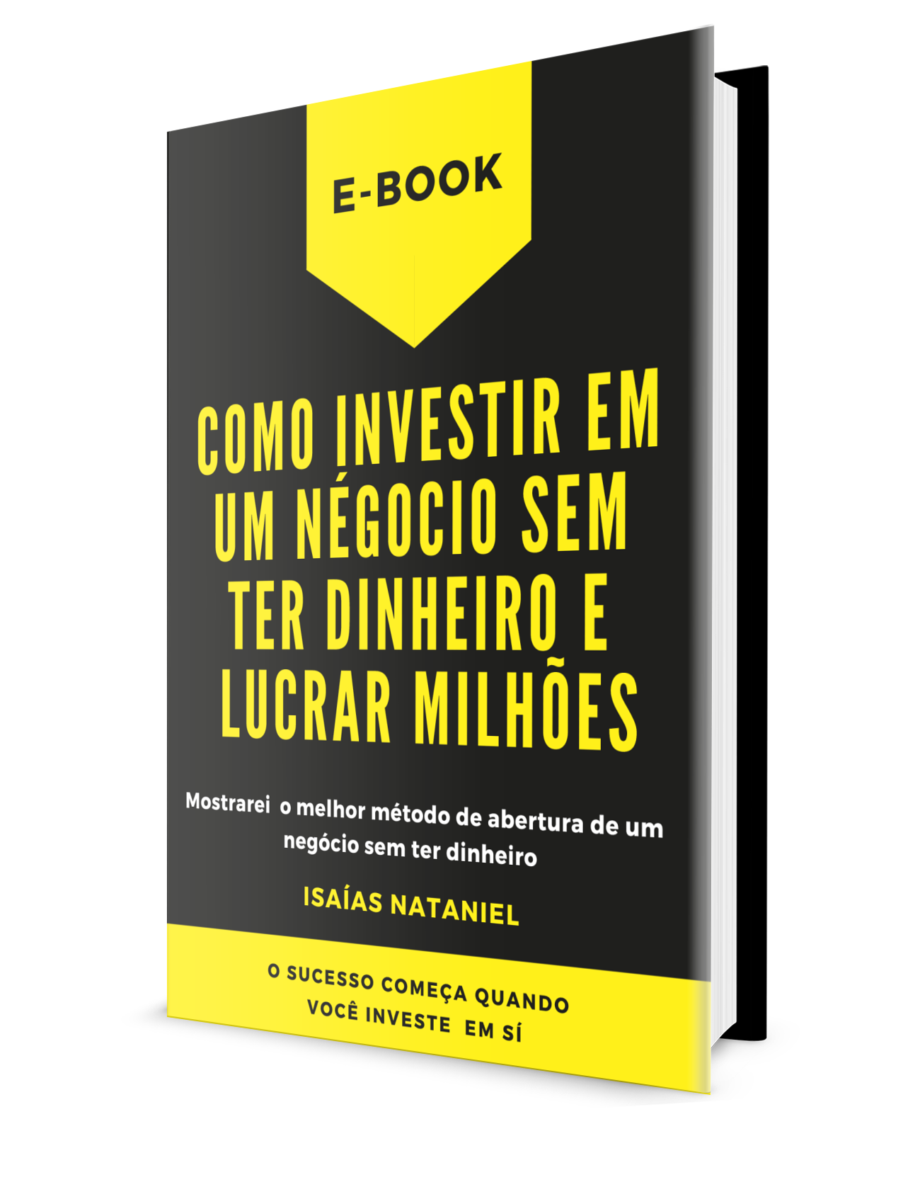 COMO INVESTIR EM UM NÉGOCIO SEM TER DINHEIRO E LUCRAR BASTANTE