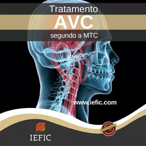 Imagem de capa para o Curso online AVC – Tratamento pela MTC – Medicina Interna da Medicina Tradicional Chinesa