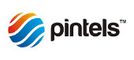 Pintels