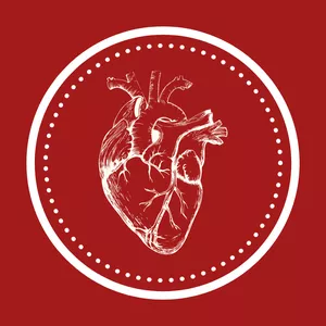 Imagem de capa para o Curso online Flash Cards do Anki sobre Sistema Cardiovascular 