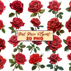 Cover image for Online course Red Rose Clipart