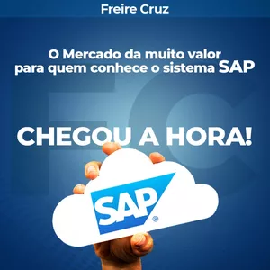Imagem principal do produto Aulas Gravadas - Mentoria em grupo de SAP