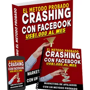 Imagen de portada para Ebook Crashing con Facebook 