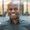 Henry Ogbuagu