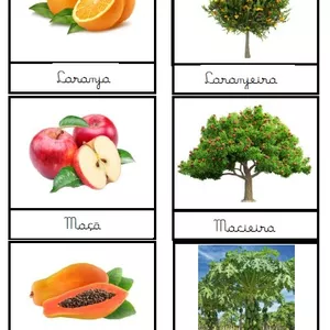 Imagem de capa para o Ebook Cards Pomar