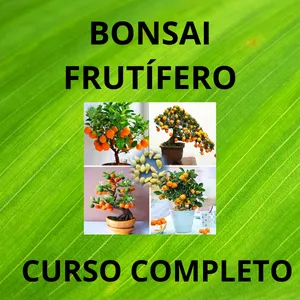 Imagem de capa para o Ebook BONSAI FRUTÍFERO