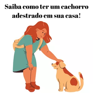 Imagem de capa para o Ebook Saiba como ter um cachorro adestrado em sua casa!