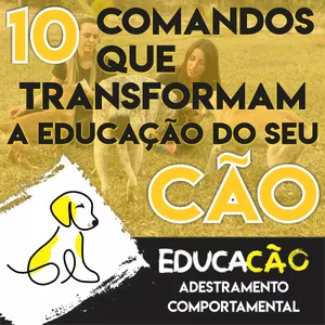 Curso 10 COMANDOS QUE TRANSFORMAM A EDUCAÇÃO DO SEU CÃO