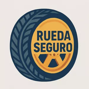 Imagen de portada para Curso online Curso Online Rueda Seguro