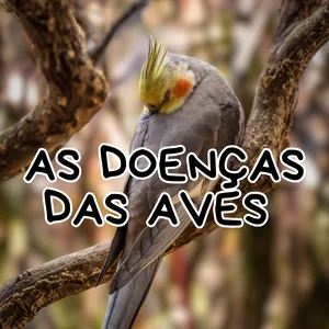 Curso As Doenças das Aves